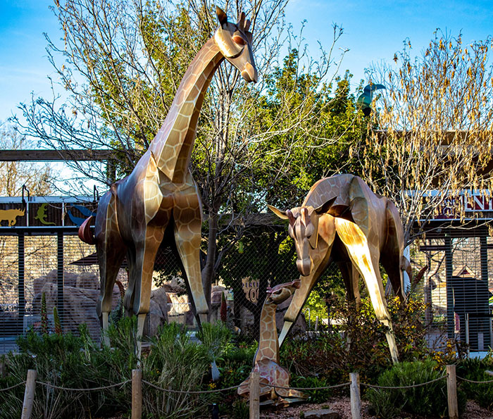 Families at the Denver Zoo